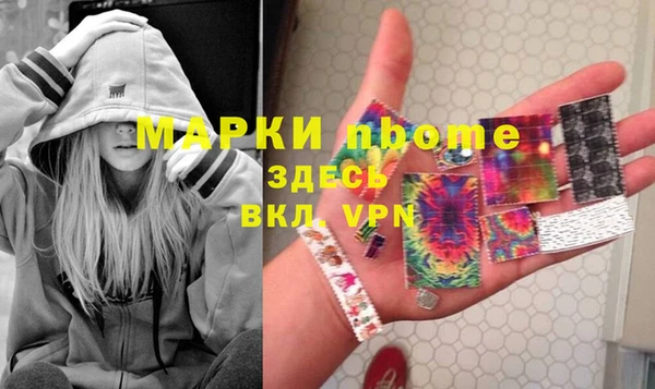 крисы Надым